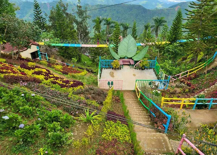 Hotel Island Skyview - Jvr By Hiverooms Balamban